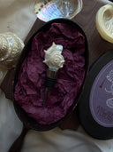 Silver Seahorse Shell Bottle Stopper