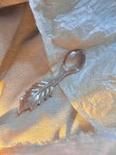 Pink Butterfly Shell Comet Spoon