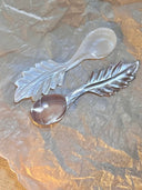 White Butterfly Shell Comet Spoon