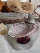 Purple Pearl Shell Dish