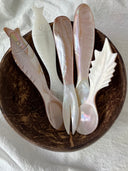 White Butterfly Shell Comet Spoon