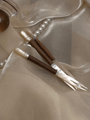 Wooden Handle Shell Fruit Fork Set