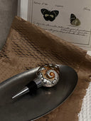 South African Whelk Bottle Stopper