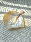 Pink Wave Shell Spoon