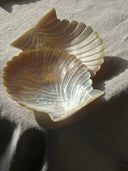 Yellow Butterfly Shell Mermaid Dish