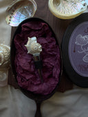 Silver Seahorse Shell Bottle Stopper
