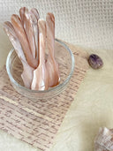 Mississippi Pink Shell Spoon