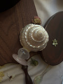 Mother-of-Pearl Top Shell Ornament