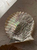 Yellow Butterfly Shell Mermaid Dish
