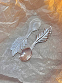 Pink Butterfly Shell Comet Spoon