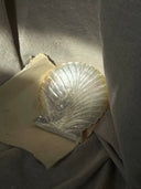 Yellow Butterfly Shell Mermaid Dish