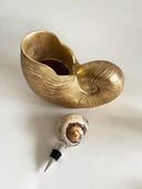 South African Whelk Bottle Stopper