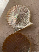 Yellow Butterfly Shell Mermaid Dish