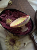 Moon Clam Crystal Dish
