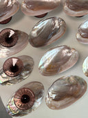 Purple Pearl Shell Dish