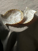 Yellow Butterfly Shell Mermaid Dish