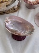 Purple Pearl Shell Dish