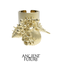 BARNACLE SHELL RINGS
