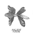 Antique Color Broken Moth Wing Ring