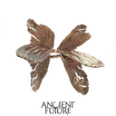 Antique Color Broken Moth Wing Ring