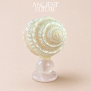 Mother-of-Pearl Top Shell Ornament