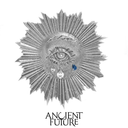 Eye of Prayer Brooch/Velvet Chocker