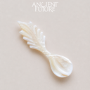 White Butterfly Shell Comet Spoon