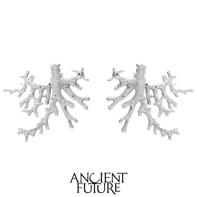 AQUINKA 22AW / CORAL EARRINGS (METAL)